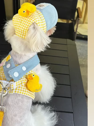 Pet Puppy Harness Leash Set for Small Mid Dogs Cat Walking Lead Chihuahua Bunny Vest Harness Poodle Collar Leash Dog Accessories