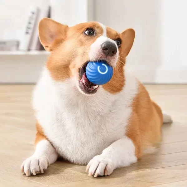 Dog Toys Intelligent Gravity Jump Ball Rechargeable Bite-Resistant Rolling Ball Cat And Dog Chase Interactive Pet Toys - Image 4
