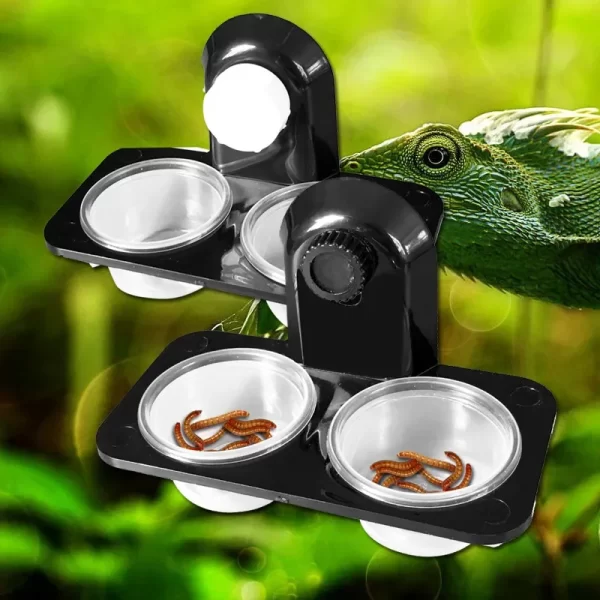 1pcs Reptile Tank Insect Spider Ants Nest Snake Gecko Food Water Feeding Bowl Breeding Feeders Box Pets Supplies - Image 4