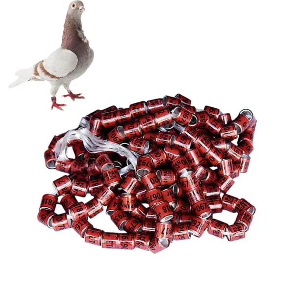 Pigeon Identification Rings 50pcs Safe Birdhouse Accessories Universal Pigeon Supplies Bands Bird Foot Rings Pegeon Accessories - Image 10