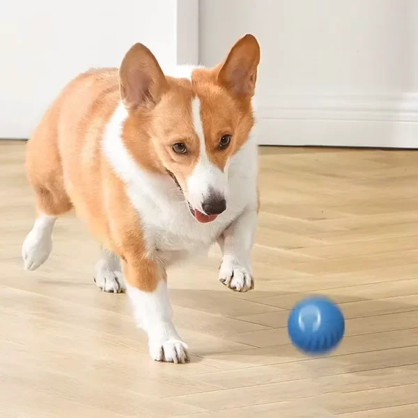 Dog Toys Intelligent Gravity Jump Ball Rechargeable Bite-Resistant Rolling Ball Cat And Dog Chase Interactive Pet Toys - Image 3
