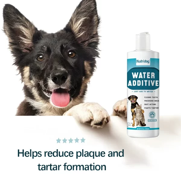 2 Pack Pet Dental Care Water Additive for Decomposes dental plaque & cleans teeth for Dogs & Cats - Image 3