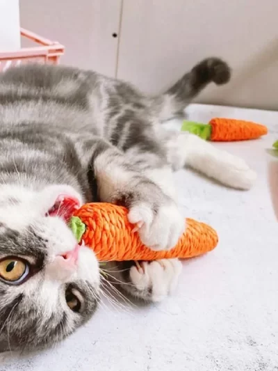 Carrot pet cat toys, paper rope chew toys, built-in bells, cute small animals, pet toys wholesale, pet products, cat toys,catnip