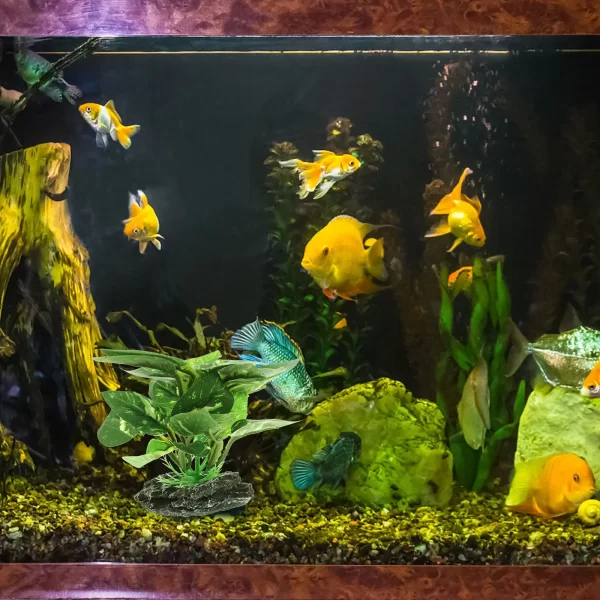 Artificial Plant Decoration for Aquarium Realistic Faux Silk Fish Tank Plants Jellyfish Pond Accessories Plastic Decor Easy - Image 2
