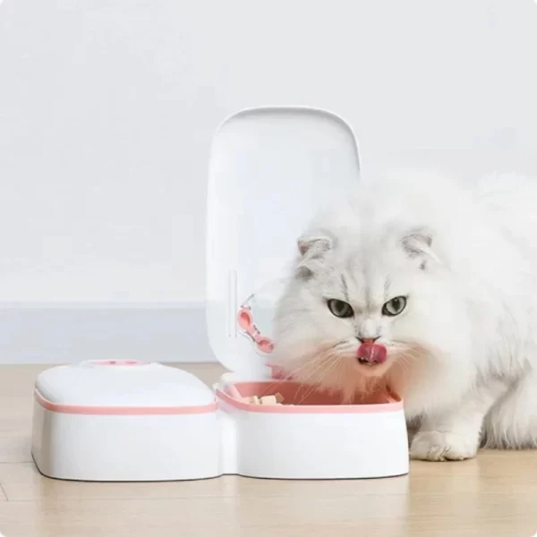 Dog Feeder Cat Automatic Feeding Water Bowl with Timer Pet Food Storage Dispenser  Container Pets Puppy Kitten Accessories - Image 3
