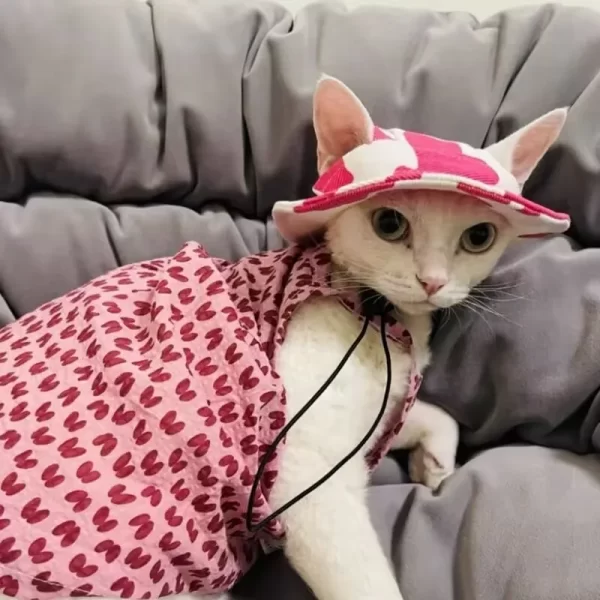 Pet Hat Cat Bucket Hat Dog Sun Hat Pet Accessories Suitable for Small and Medium Dogs and Cats - Image 3