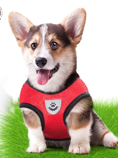 Cat Harness Vest Walking Leash For Puppy dog Collar Polyester Adjustable Mesh Dog Harness For Small Medium Pet Accessories