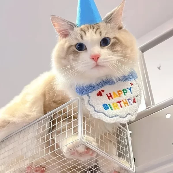 Adorable Cat Puppy Birthday Party Hat & Bandana Set Doggy Cat Adjustable Drool Scarf Accessories Pet Birthday Costume Supplies - Image 4