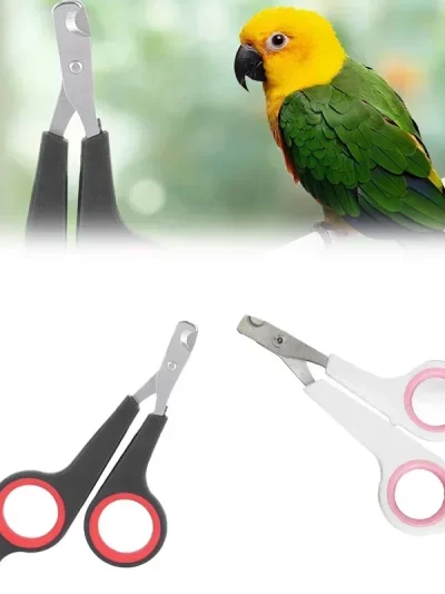 Parrot Nail Clippers Small Animal Accessories Beauty Tools Nail Clippers Dog Cat Bird Guinea Pig Animal Paw Scissors Pet Health