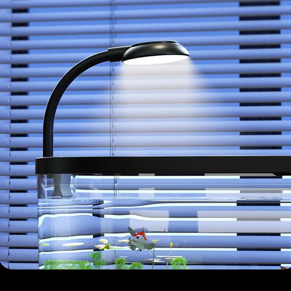 Small Aquarium Kit Betta Fish Tank for Beginners Desktop Beginner Aquarium Household Fish Bowl for Betta Tortoise Frog - Image 15