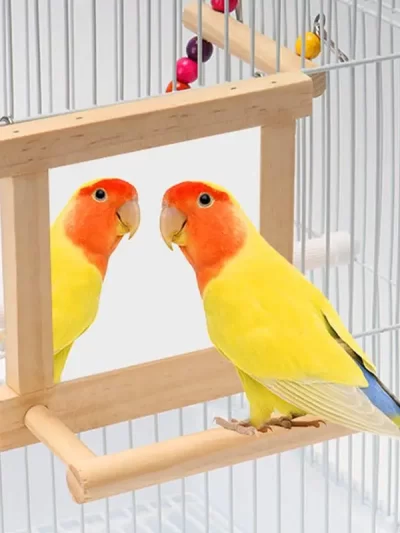 Bird Mirror Perches For Cage Cockatiel Climbing Branch Toy Natural Wood Parrot Cage Pole For Parakeets Cockatiels Lovebirds