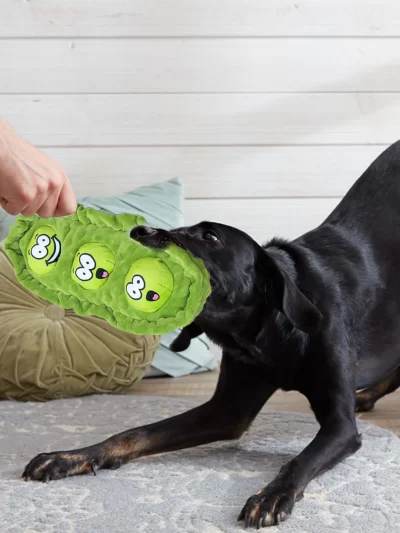 Pet Dog Snack Hiding Toys Relieve Boredom Interactive Doll  Pea Pods Sets Throwing Chasing Plush Toy Slow Food Smelling Pet Ball