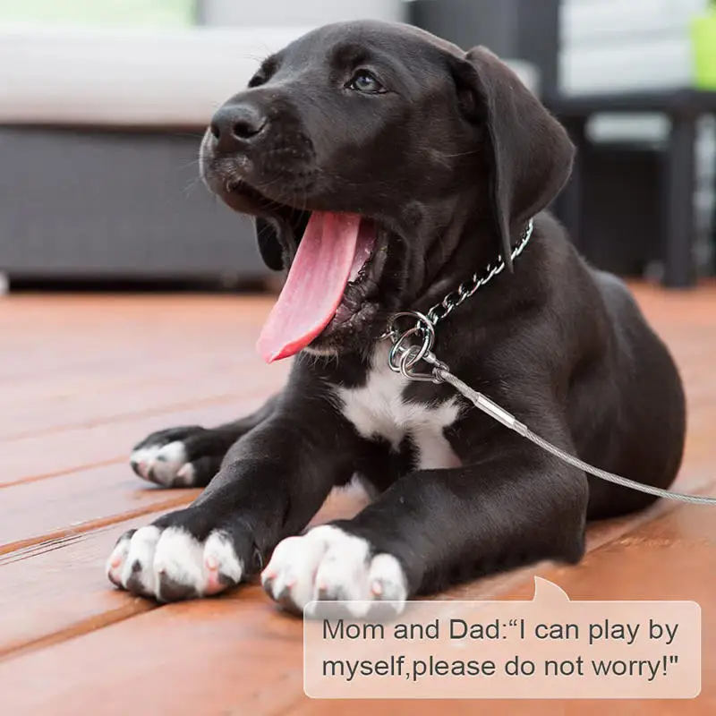 Steel Wire Dog Leashes With Two Head Dogs Anti-Bite Tie Out Cable For Big Pets Outdoor Double Steel Wire Rope Lead - Image 6