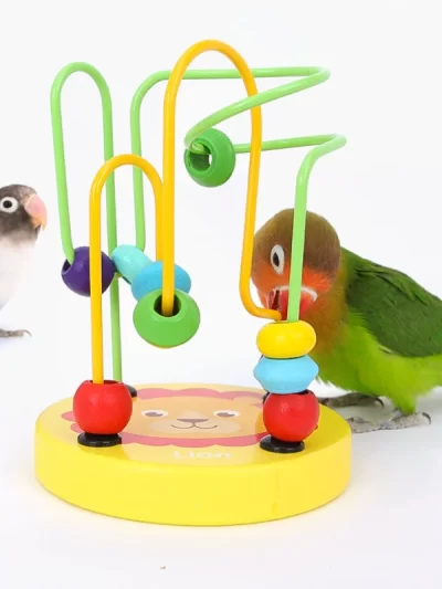 Bird Training Toy Supplies Lovebird Bird Toy Foraging Training Rings Educational Puzzle Playing Toy Canary Toy Accessories