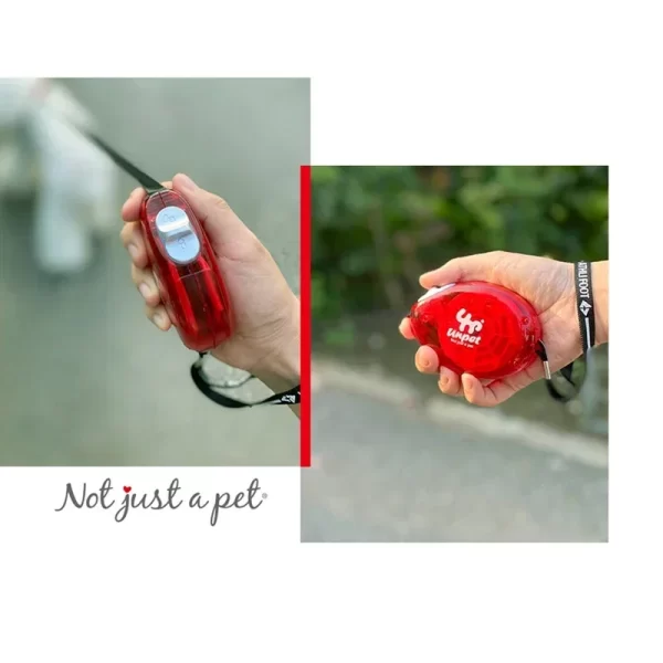 Pet Retractable Dog Leash Automatic Extension of The Leash for Pets Puppy  Dog Accessories Chihuahua Yorkshire Nylon Adjustable - Image 3
