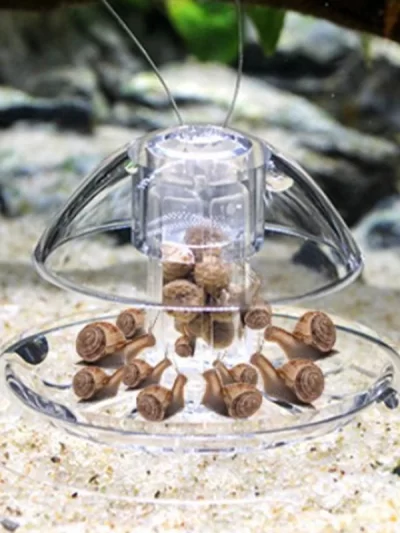 Fish Tank Accessories Aquarium Plant Snail Trap Catcher Plastic Leech Planaria Pest Catch Box Fish Tank Aquarium Cleaning Tool