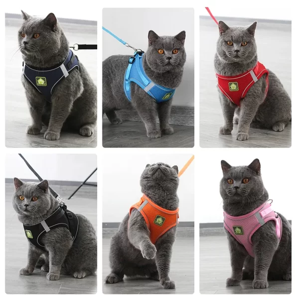 Reflective Pet Cat Harness Vest Leash Set Breathable Mesh Puppy Harnesses Adjustable Lead Leashes for Dogs Cats Supplies - Image 5