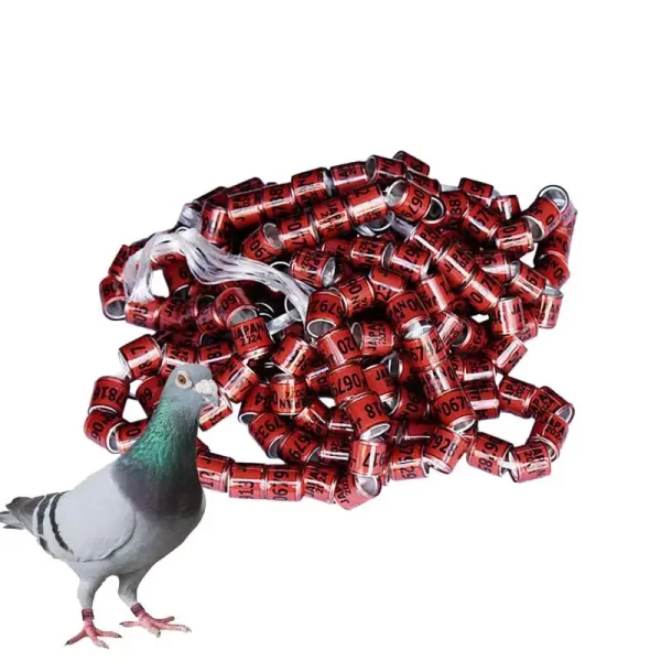 Pigeon Identification Rings 50pcs Safe Birdhouse Accessories Universal Pigeon Supplies Bands Bird Foot Rings Pegeon Accessories - Image 4
