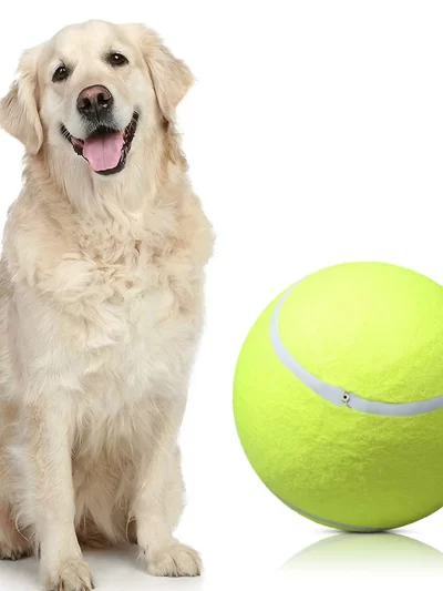 9.5inch Inflatable Giant Tennis Ball for Pets Dog Chew Toy Interactive and Playtime Toys