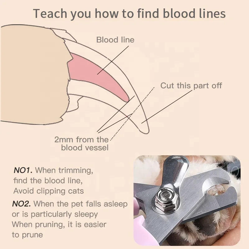 Nail Clippers for Pet Cleaning and Grooming Supplies, Dog and Cat Nail Clippers, Pet Accessories - Image 3