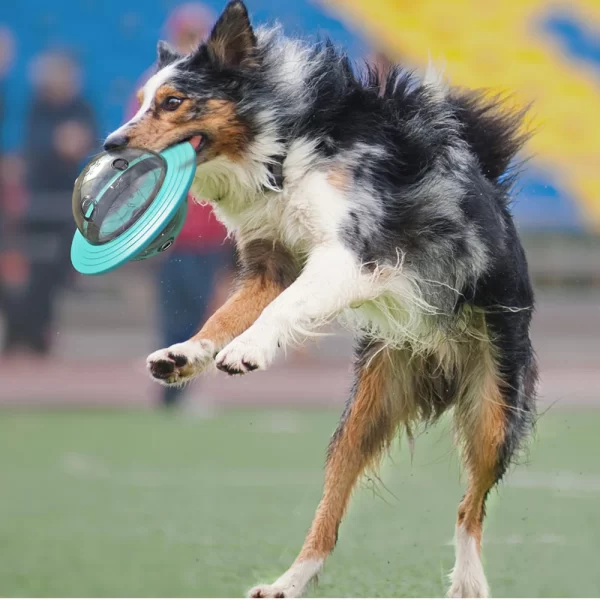 Slow Feed Dog Toy For Small Medium Large Dogs Cats Funny Interactive Improve IQ Puppy Planet Toys Chihuahua Beagle Pet Supplies - Image 6