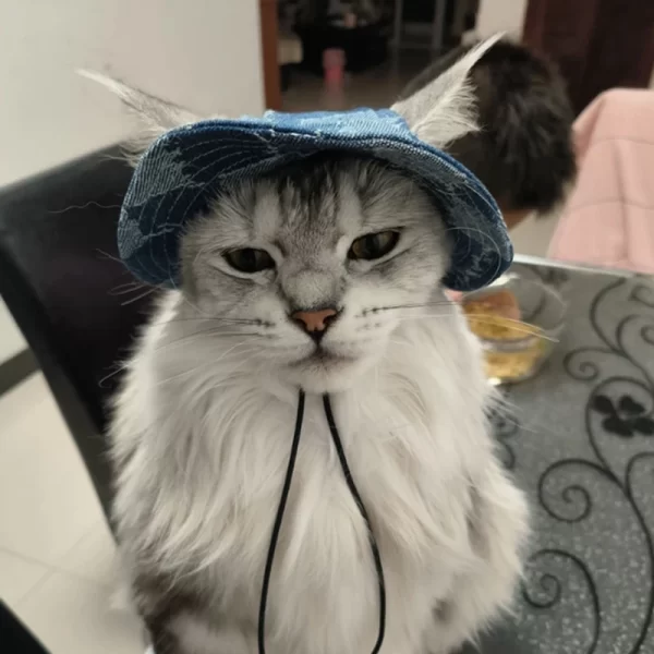 Pet Hat Cat Bucket Hat Dog Sun Hat Pet Accessories Suitable for Small and Medium Dogs and Cats - Image 5
