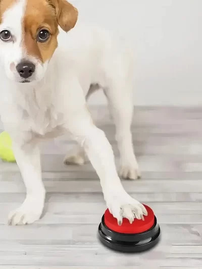 Dog Toys Fun Dogs Can Record Pet Toys Travel Talking Pet Starter Pet Talking Button Portable Cute Pet Training dog toys