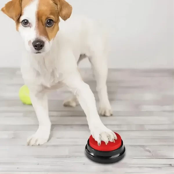 Dog Toys Fun Dogs Can Record Pet Toys Travel Talking Pet Starter Pet Talking Button Portable Cute Pet Training dog toys