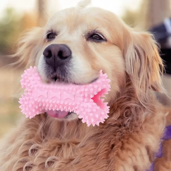 Dog Toys For Small Dogs Indestructible Dog Toy Teeth Cleaning Chew Training Toys Pet Supplies - Image 6