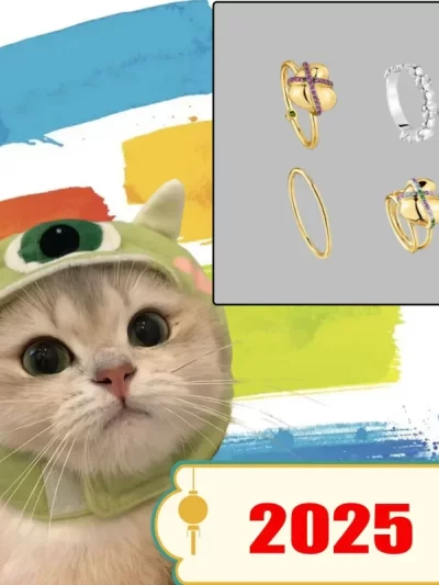 2025 New Fashion Cat Accessories for High-end Spanish, Fashion Pet Gifts, Holiday Party Gifts, Quality Products Cat Toys
