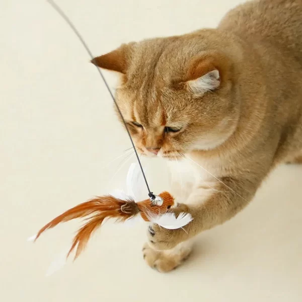 Funny Bird Feather Cat Wand With Bell Accessories Interactive Toys For Cats Kitten Hunting Teaser Exercise Pet Products - Image 2