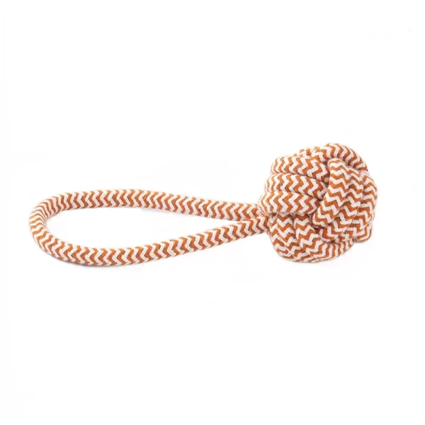 Pet Dog Toys for Large Small Dogs Toy Interactive Cotton Rope Mini Dog Toys Ball for Dogs Accessories Toothbrush Chew Puppy Toy - Image 5