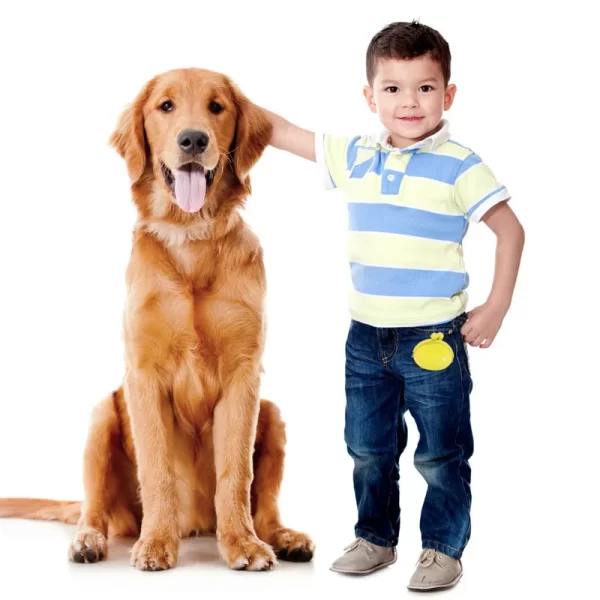 Silicone Pet Dog Train Food Snacks Pockets Bag Walking Dog Training Food Storage Waist Pet Travel Outdoor Product dog treat bag - Image 3