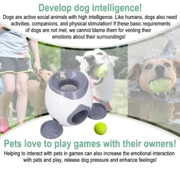 Smart Dog Training Machine with Snack Reward System - Auto Ball Launcher for Mental Stimulation - Image 5