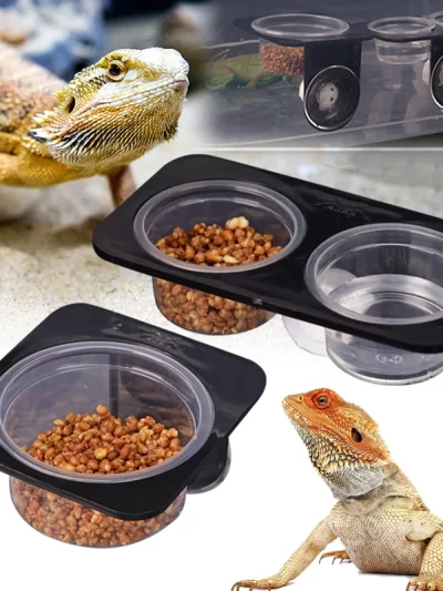 Reptile Feeder with Suction Cup Reptile Feeders Feeding Bowls  Food Container with Bowl for Reptile Food and Water Feeding
