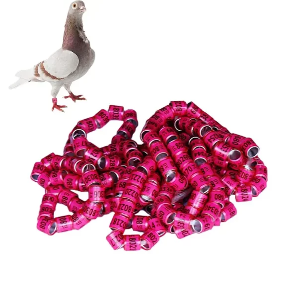Pigeon Identification Rings 50pcs Safe Birdhouse Accessories Universal Pigeon Supplies Bands Bird Foot Rings Pegeon Accessories - Image 8