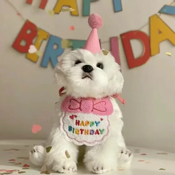 Adorable Cat Puppy Birthday Party Hat & Bandana Set Doggy Cat Adjustable Drool Scarf Accessories Pet Birthday Costume Supplies - Image 2