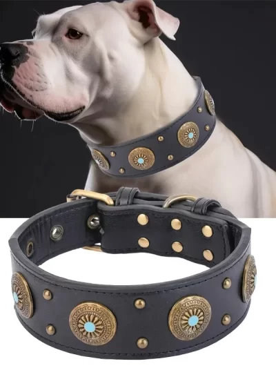 Dog Collar Leashes Collars Dogs Accessories Goods Small Leash Material Detachable Pet Harness