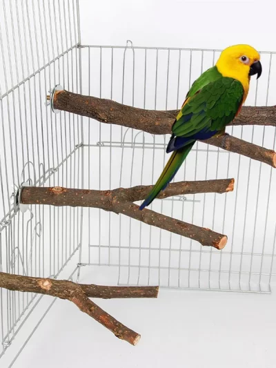 1pcs 15/20/30cm Birds Accessories Bird Cage Sticks Wooden Stuff Stand Tree Branch Perches Asesorips Para Aves Vogel Stokjes