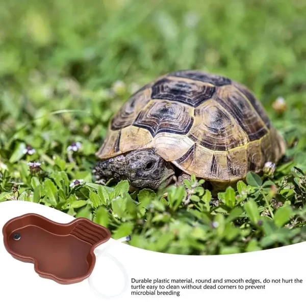 Turtle Feeding Dish Reptile Bathing Pool With Ramp And Basking terrace Aquarium Ornament For Turtle Bearded Dragon Gecko Yard - Image 3