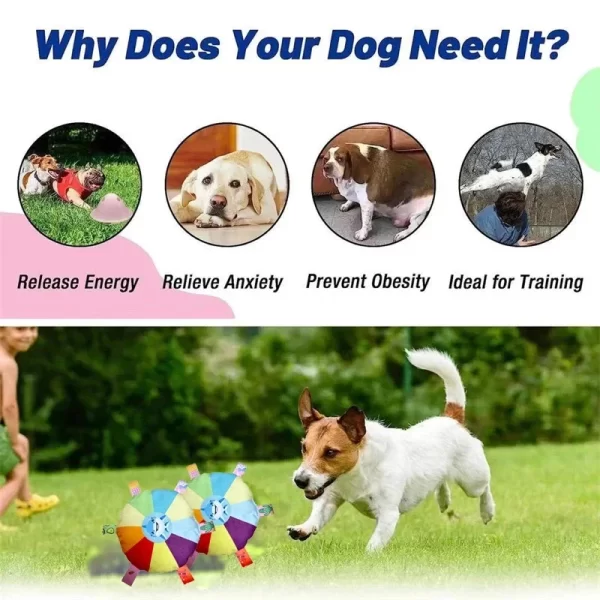 Funny Rainbow Plush Flying Saucer Dog Toys Outdoor Interactive Training Games Chew Toy Pets Flying Discs Toys Dog Accessories - Image 5
