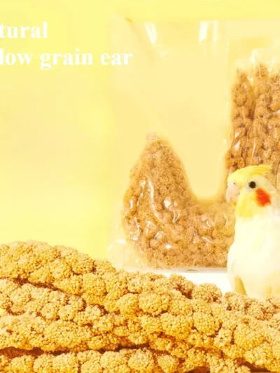 Parakeet snack grain with shell yellow millet Xuanphoenix tiger skin feed bird food bird food Wenbird pearl bird snack