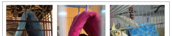 Winter Pet Bird Parrot Cages Warm Plush Hammock Hut Tent Bed Hanging Cave for Sleeping and Hatching Bird Accessories - Image 10