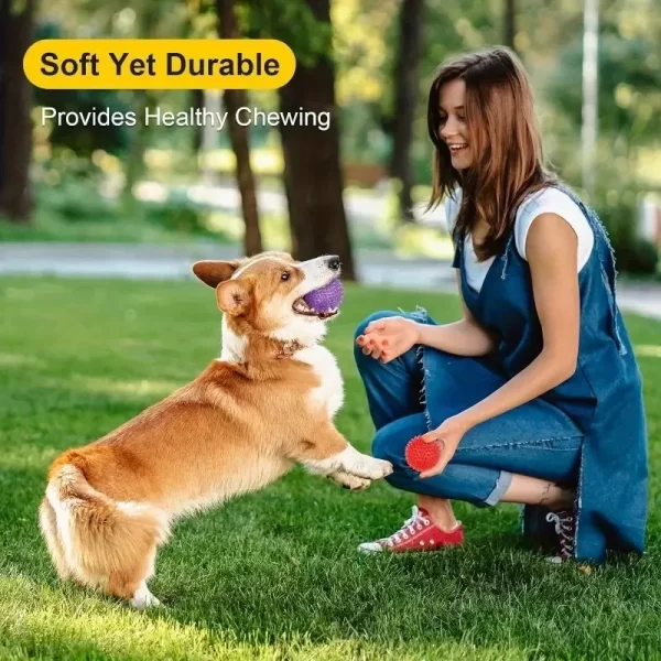 6pcs Ultimate pet Dog Toy Set Interactive Squeaky Balls for Dental Hygiene Training Safe BPA Free Ideal for Small Medium Puppy - Image 6