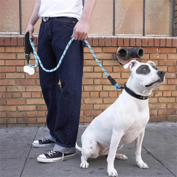 150/200/300CM Strong Leashes for Dogs Soft Handle Dog Leash Reinforced Leash for Small Medium Large Dogs Big Dog Supplies - Image 6