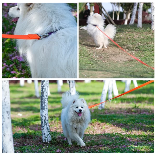 5M/10/15M PVC Pet Leash Waterproof Long Dog Leashes Outdoor Walking for Small Medium Large Dog - Image 6