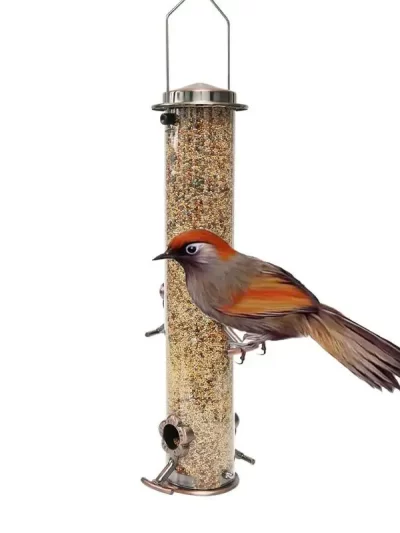 Durable Wild Bird Hanging Feeder Stainless Steel Bird Food Dispenser Container Tubular Anti-rust Outdoor Garden Decor Drop Ship