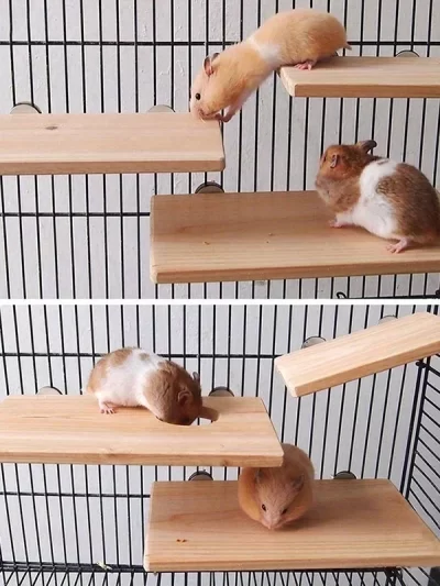 Parrot Hamster Stand Board Wood Perch Stand Platform Rectangle Shelf Stand Board Toy Cage Stand Board Bird Accessories