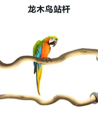 Bird Station Pole Natural Solid Wood Parrot Supplies Grinding Claw Habitat Bird Cage Accessories