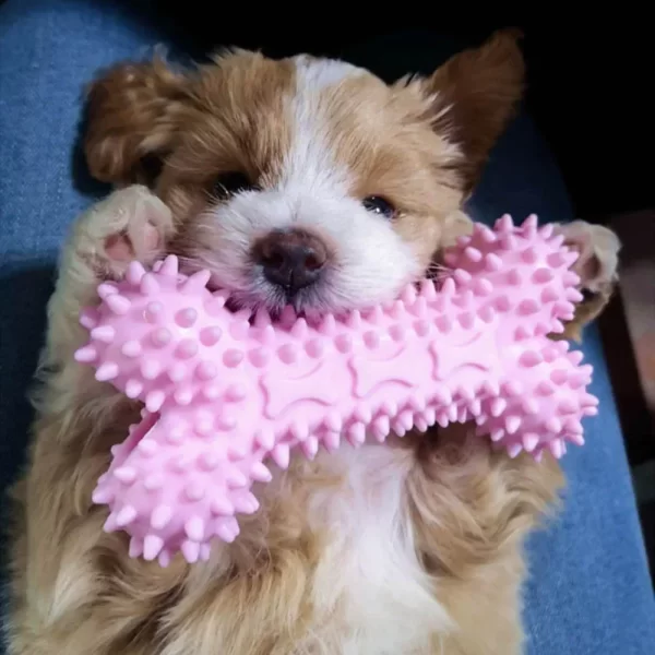 Dog Toys For Small Dogs Indestructible Dog Toy Teeth Cleaning Chew Training Toys Pet Supplies - Image 2